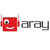 'ARAY' Company